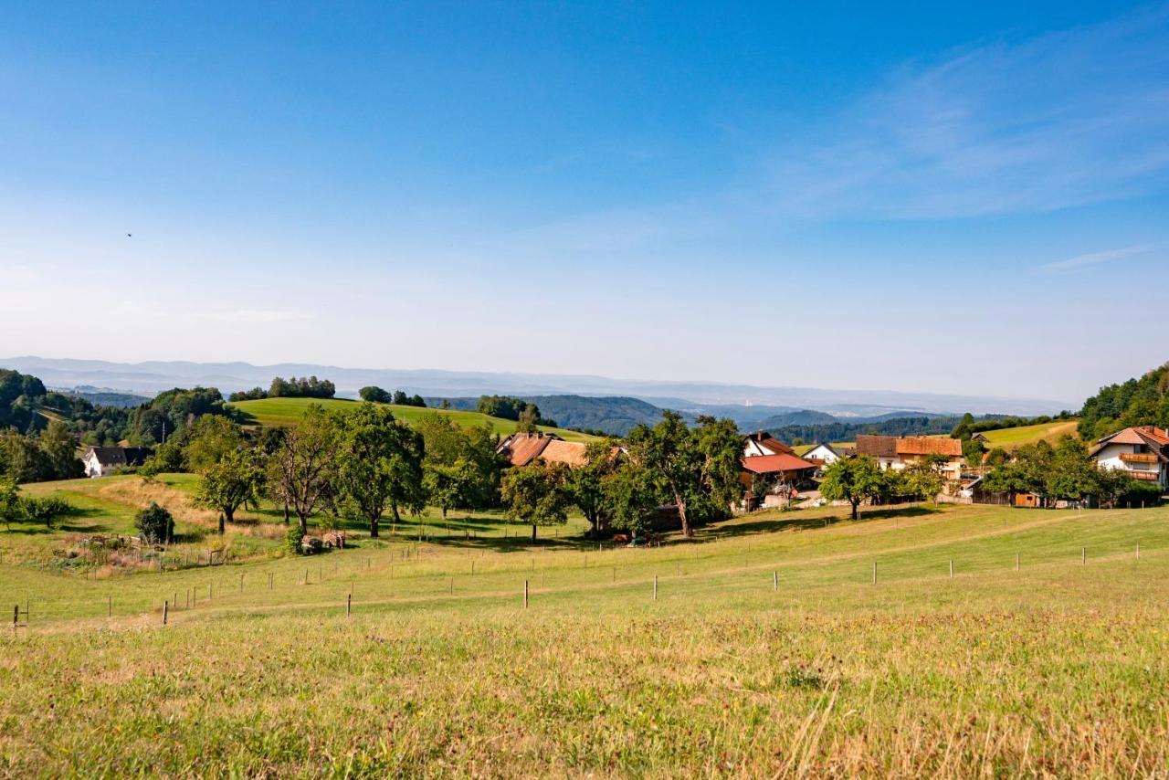 Zell im Wiesenthal Hofgut Leo酒店 外观 照片